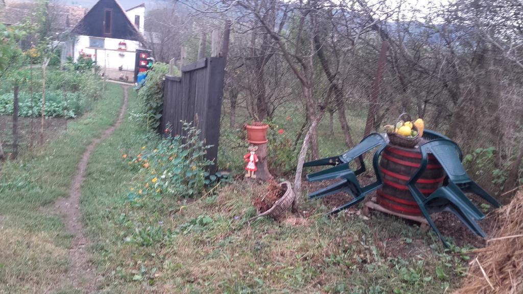 Legenda Anotimpurilor Villa Alma Exteriör bild