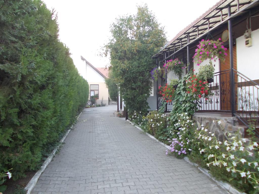 Legenda Anotimpurilor Villa Alma Exteriör bild