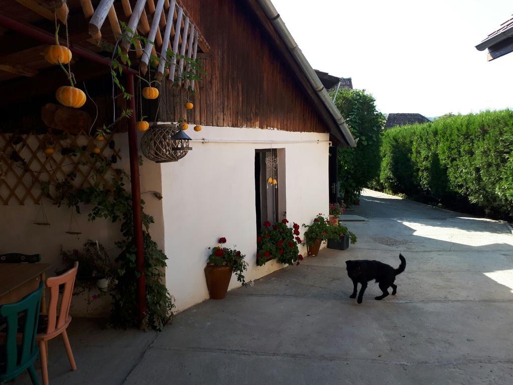 Legenda Anotimpurilor Villa Alma Exteriör bild