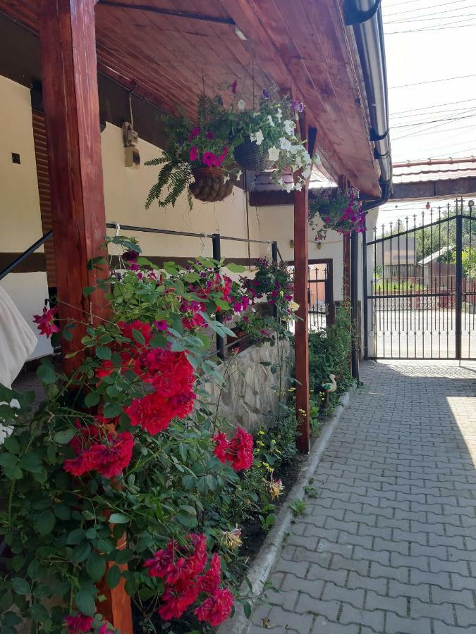 Legenda Anotimpurilor Villa Alma Exteriör bild